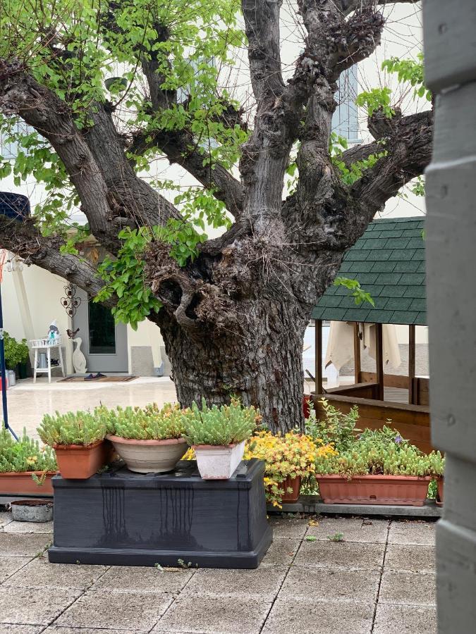 Villa Pille Monzambano Dış mekan fotoğraf