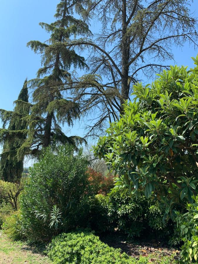 Villa Pille Monzambano Dış mekan fotoğraf